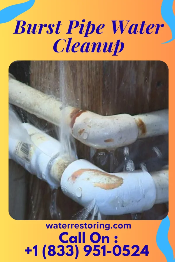 Burst Pipe Water Cleanup in Panora, IA